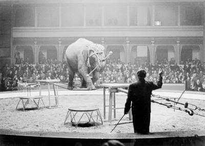 fairground attraction – it's got to be-ee-ee perfect!