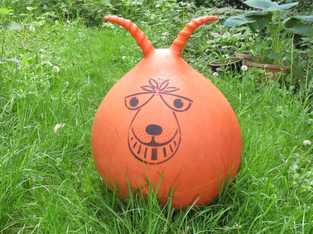 Picture of an orange coloured Space Hopper (Hoppity Hop) with a smiley face, sitting on grass.
